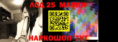 гашик Кандалакша