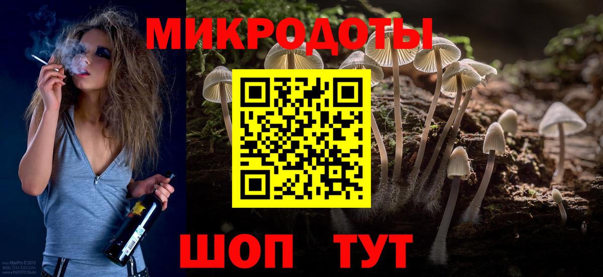 Псилоцибиновые грибы Psilocybine cubensis Чистополь